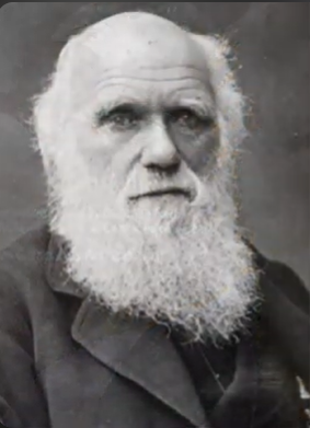 Hình ảnh thu nhỏ